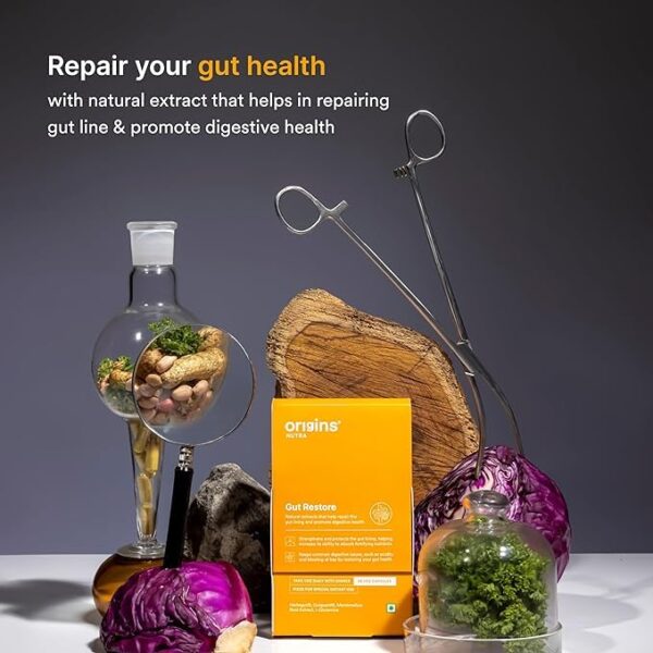 Origins Nutra Gut Restore| Leaky Gut Supplement| Gut lining,GERD, IBS - Image 2